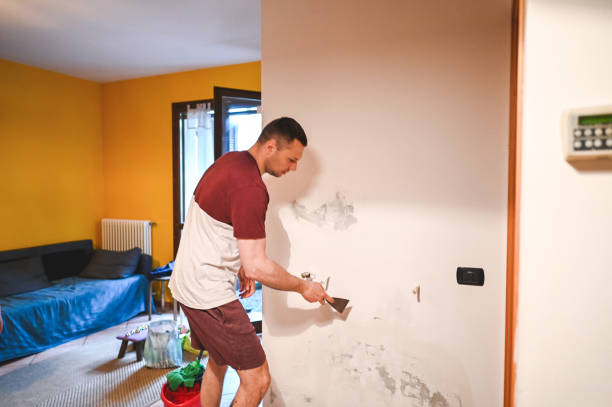 Trusted Arbutus, MD Mold Remediation Experts